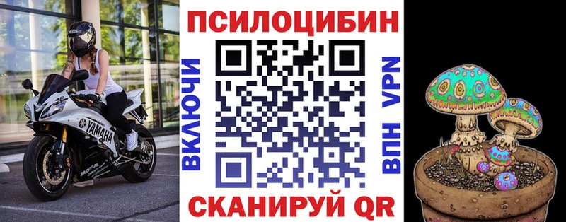 как найти закладки  Орск  Псилоцибиновые грибы ЛСД 